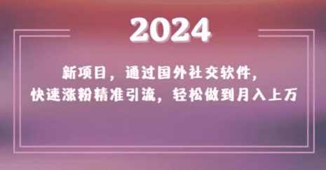 2024新项目，通过国外社交软件，快速涨粉精准引流，轻松做到月入上万【揭秘】-会创网(会创项目网)