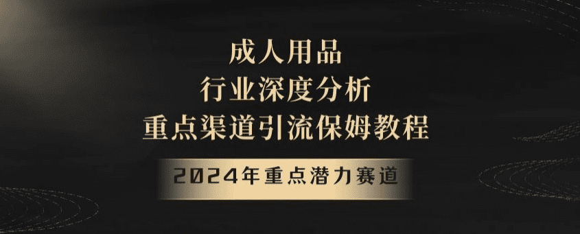 2024年重点潜力赛道，成人用品行业深度分析，重点渠道引流保姆教程【揭秘】-会创网(会创项目网)