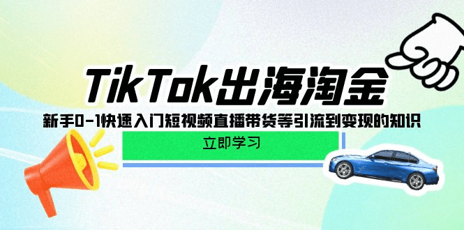TikTok-出海淘金，新手0-1快速入门短视频直播带货等引流到变现的知识-会创网-会创项目网-会创资源网