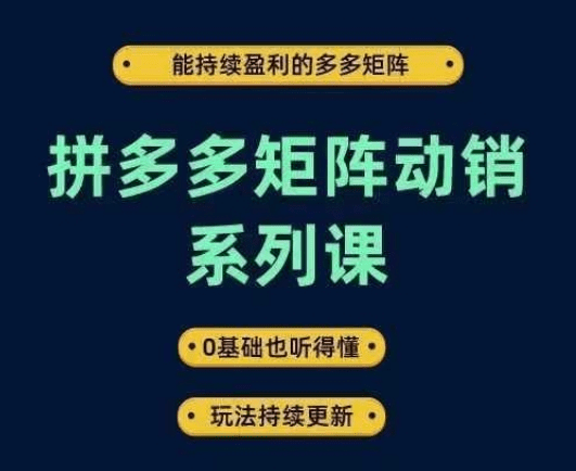 拼多多矩阵动销系列课，能持续盈利的多多矩阵，0基础也听得懂，玩法持续更新-会创网(会创项目网)
