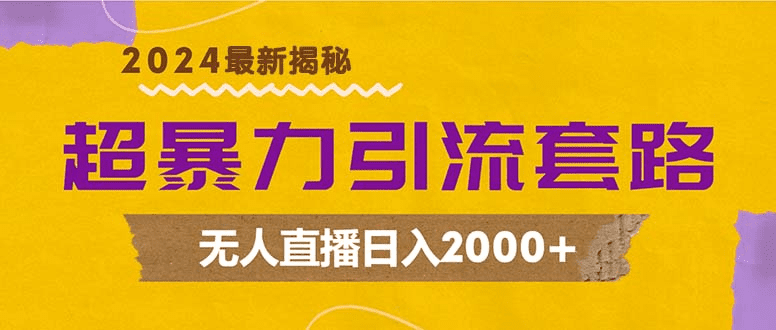超暴力引流套路，无人直播日入2000+-会创网(会创项目网)