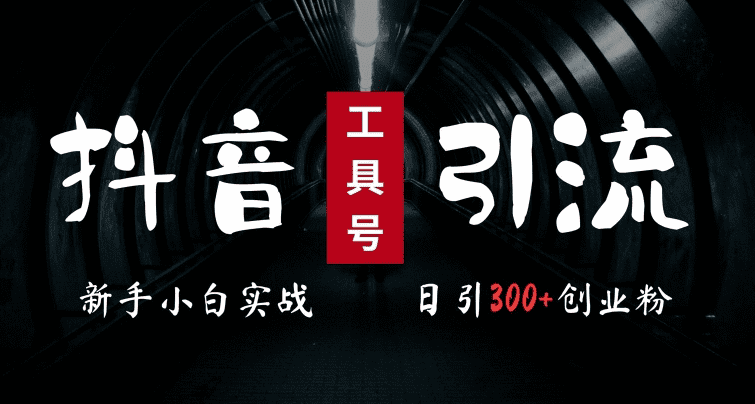2024最新抖音工具号引流玩法，高效日引300+创业粉，当天变现5k，小白也可成为实战高手-会创网(会创项目网)