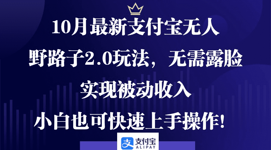 10月最新支付宝无人野路子2.0玩法，无需露脸，实现被动收入，小白也可…-会创网(会创项目网)